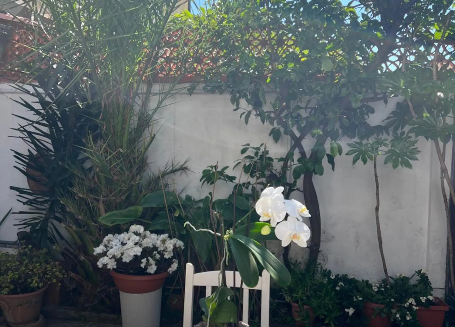 Casa A Due Passi Dal Mare Villa Viareggio